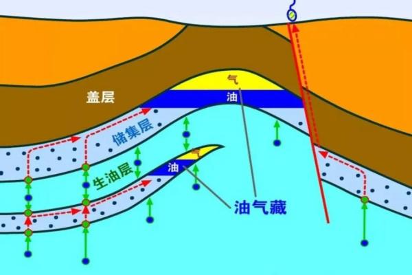 石油形成的过程及其地质背景解析